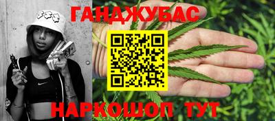 прущие грибы Гусиноозёрск