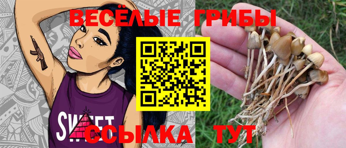 Галлюциногенные грибы ЛСД Россия