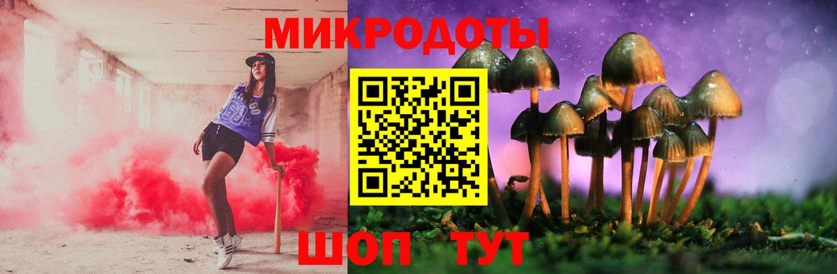Галлюциногенные грибы Cubensis  Галлюциногенные грибы Cubensis  Россия  Вход с VPN 